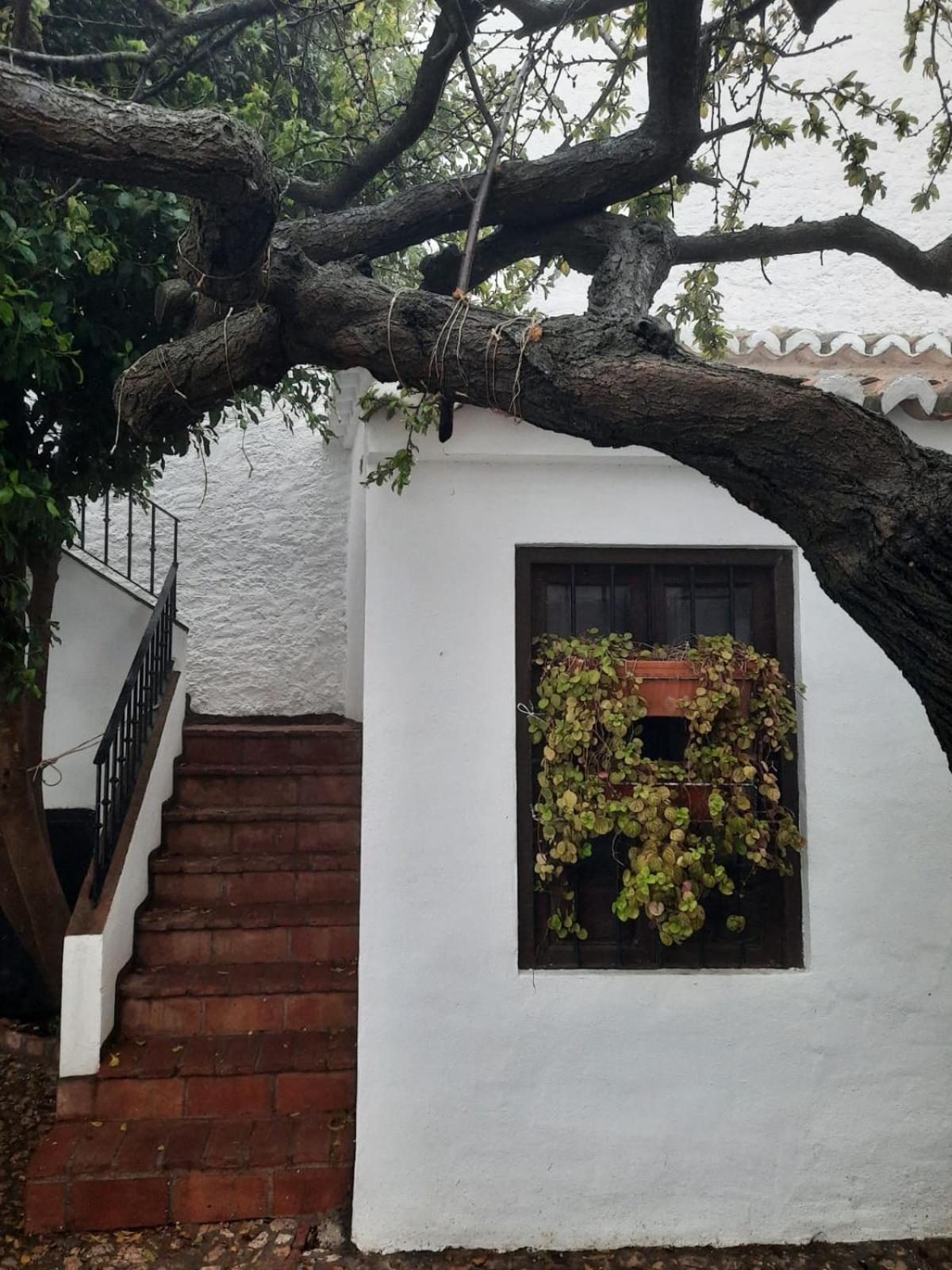 Hotel Rural Verde Oliva Comares Oda fotoğraf