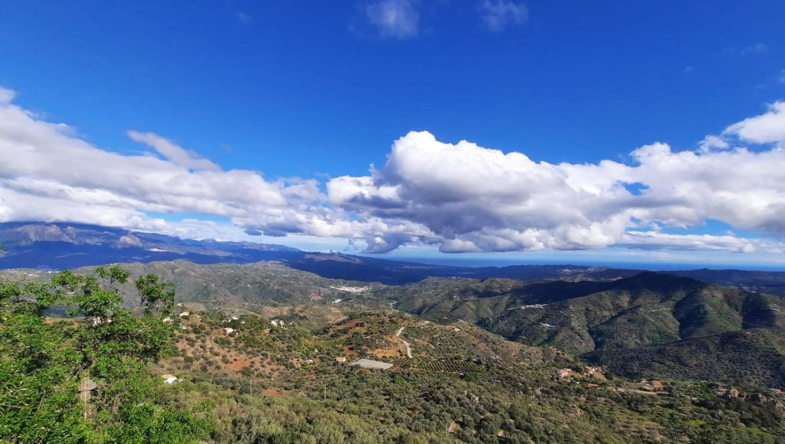 Hotel Rural Verde Oliva Comares Dış mekan fotoğraf