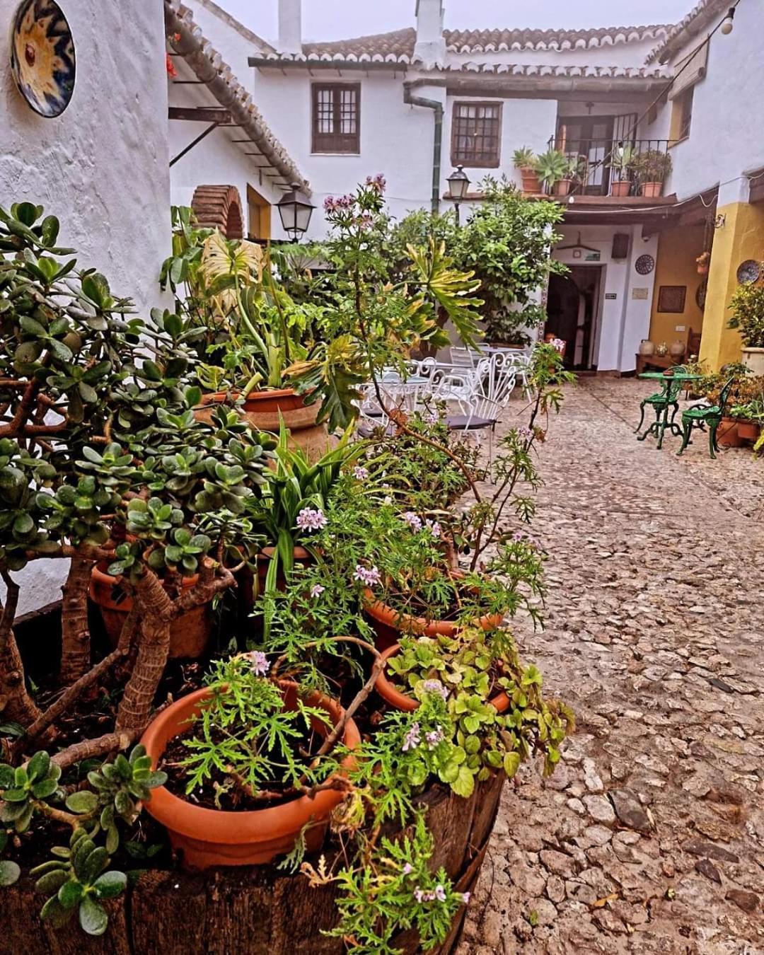 Hotel Rural Verde Oliva Comares Dış mekan fotoğraf